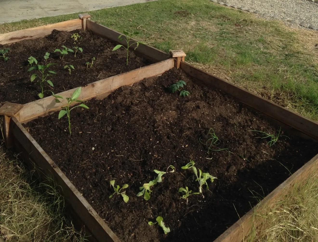 cfd-garden-box