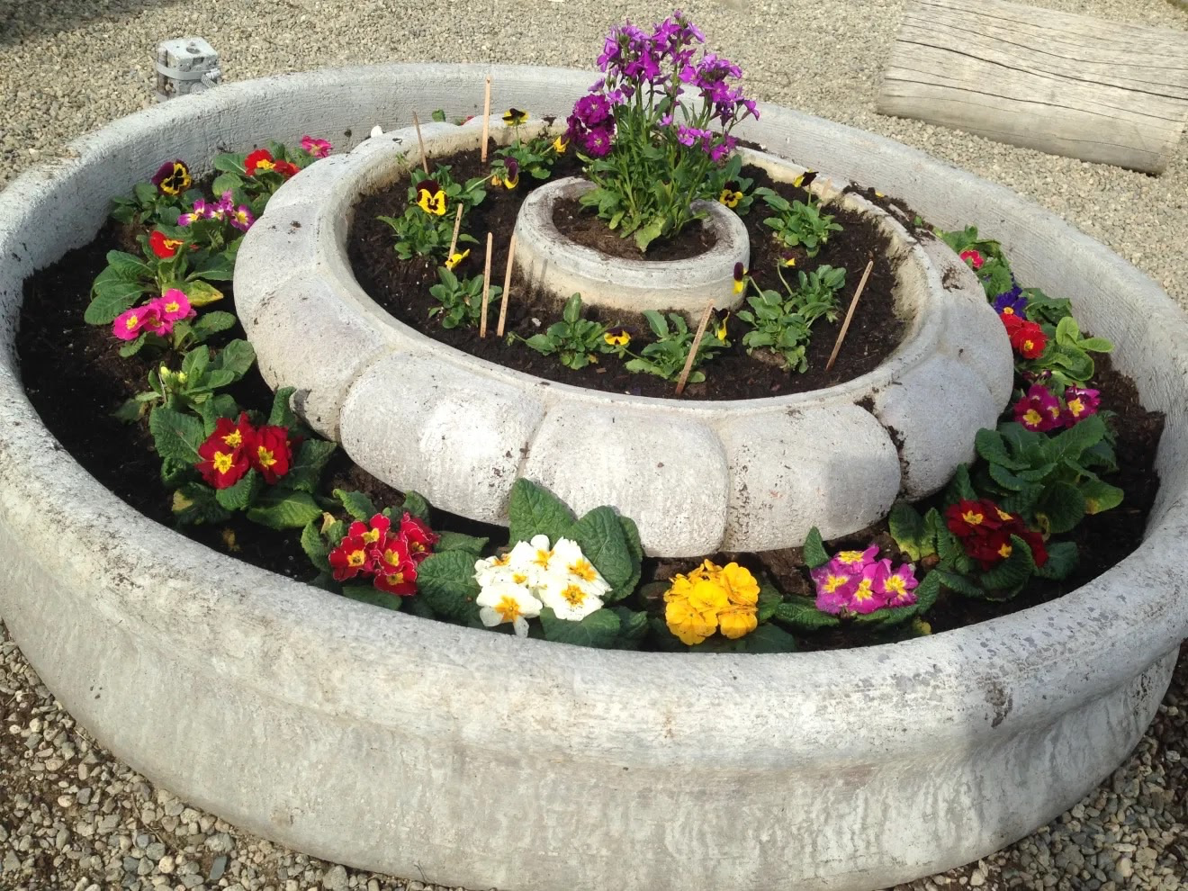 cfd-garden-flowers