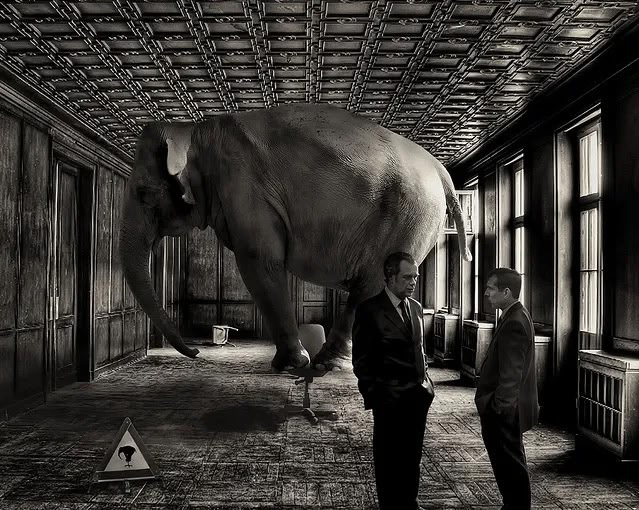 elephant-in-the-room